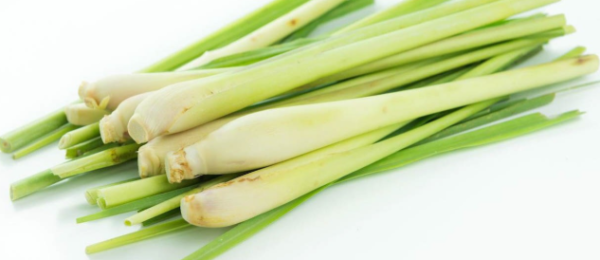 Sereh Lemon Grass Frozen 100g